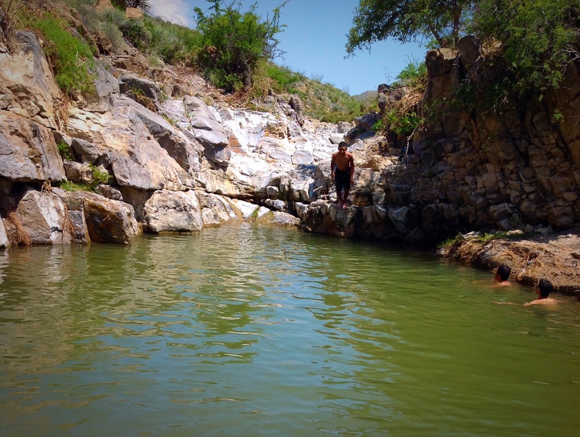Natural Springs in the Chihuahuan Desert