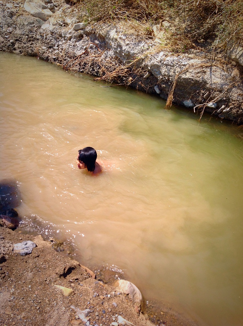 Swimming in the pools of the Chihuahuan Desert