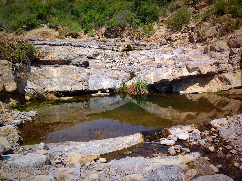 natural springs in the Chihuahuan Desert